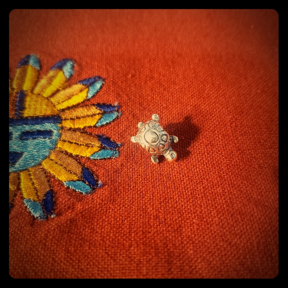 Pandora Turtle Charm